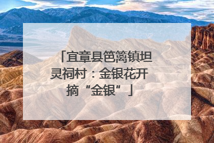 宜章县笆篱镇坦灵祠村：金银花开摘“金银”