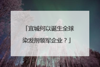 宜城何以诞生全球染发剂领军企业？