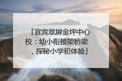 宜宾翠屏金坪中心校：幼小衔接架桥梁，探秘小学初体验