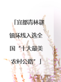 宜都青林谜镇环线入选全国“十大最美农村公路”