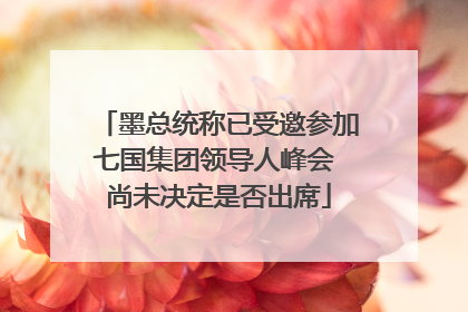 墨总统称已受邀参加七国集团领导人峰会 尚未决定是否出席