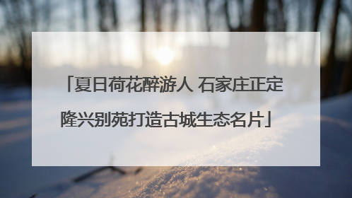 夏日荷花醉游人 石家庄正定隆兴别苑打造古城生态名片