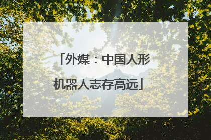 外媒：中国人形机器人志存高远