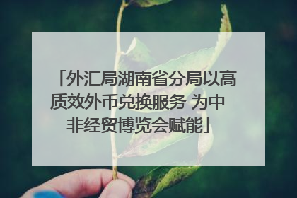 外汇局湖南省分局以高质效外币兑换服务 为中非经贸博览会赋能