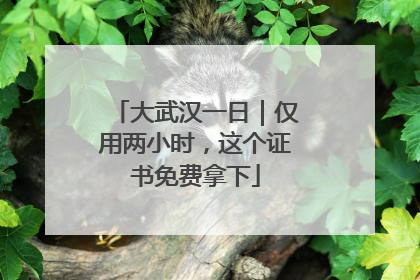大武汉一日｜仅用两小时，这个证书免费拿下