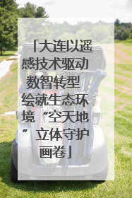 大连以遥感技术驱动数智转型 绘就生态环境“空天地”立体守护画卷