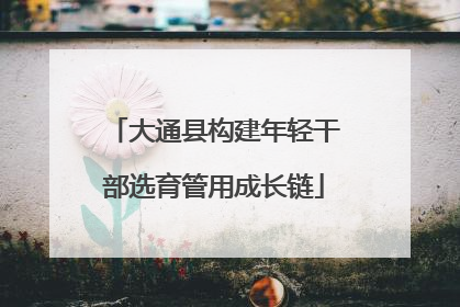 大通县构建年轻干部选育管用成长链