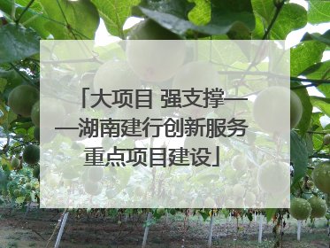 大项目 强支撑——湖南建行创新服务重点项目建设