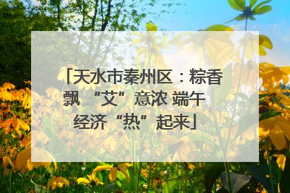 天水市秦州区：粽香飘 “艾”意浓 端午经济“热”起来
