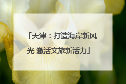 天津：打造海岸新风光 激活文旅新活力