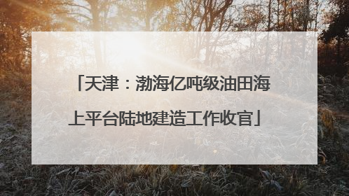 天津：渤海亿吨级油田海上平台陆地建造工作收官