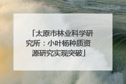 太原市林业科学研究所：小叶杨种质资源研究实现突破