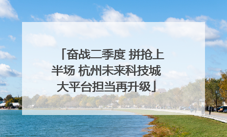 奋战二季度 拼抢上半场 杭州未来科技城大平台担当再升级