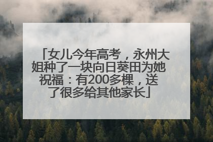 女儿今年高考，永州大姐种了一块向日葵田为她祝福：有200多棵，送了很多给其他家长