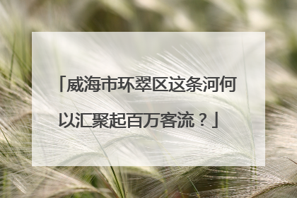 威海市环翠区这条河何以汇聚起百万客流？