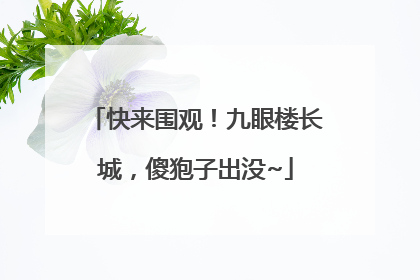 快来围观！九眼楼长城，傻狍子出没~