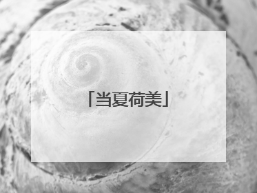 当夏荷美