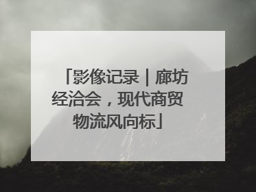影像记录｜廊坊经洽会，现代商贸物流风向标