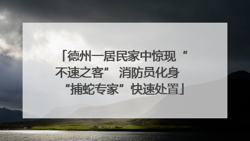 德州一居民家中惊现“不速之客” 消防员化身“捕蛇专家”快速处置
