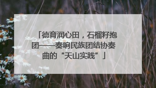 德育润心田，石榴籽抱团——奏响民族团结协奏曲的“天山实践”