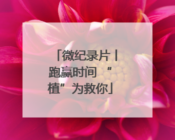 微纪录片丨跑赢时间 “植”为救你