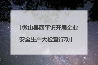 微山县西平镇开展企业安全生产大检查行动