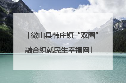 微山县韩庄镇“双圈”融合织就民生幸福网