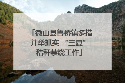 微山县鲁桥镇多措并举抓实 “三夏” 秸秆禁烧工作