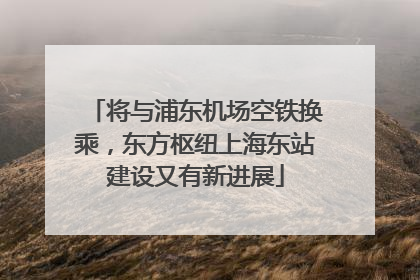 将与浦东机场空铁换乘，东方枢纽上海东站建设又有新进展