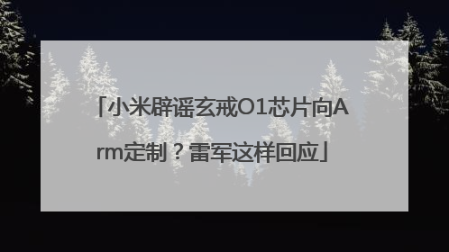 小米辟谣玄戒O1芯片向Arm定制？雷军这样回应