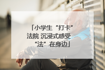 小学生“打卡”法院 沉浸式感受“法”在身边