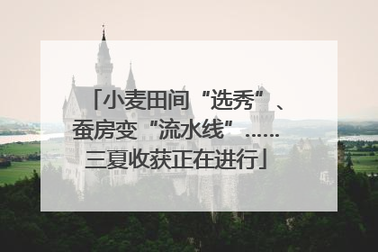 小麦田间“选秀”、蚕房变“流水线”……三夏收获正在进行
