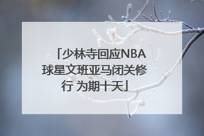 少林寺回应NBA球星文班亚马闭关修行 为期十天