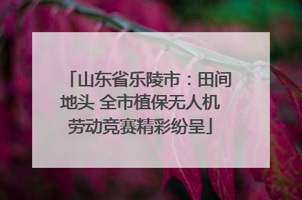 山东省乐陵市：田间地头 全市植保无人机劳动竞赛精彩纷呈