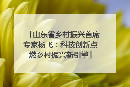山东省乡村振兴首席专家杨飞：科技创新点燃乡村振兴新引擎