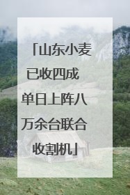 山东小麦已收四成 单日上阵八万余台联合收割机