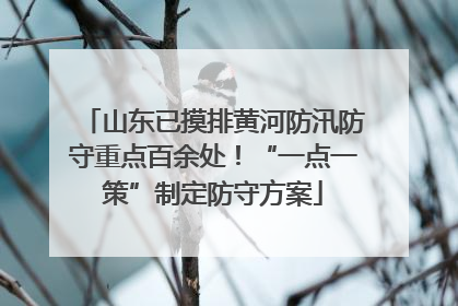 山东已摸排黄河防汛防守重点百余处！“一点一策”制定防守方案