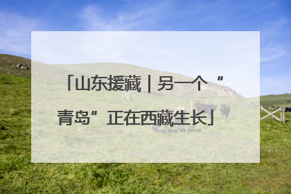 山东援藏｜另一个“青岛”正在西藏生长
