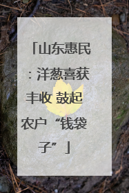 山东惠民：洋葱喜获丰收 鼓起农户“钱袋子”