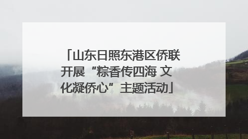 山东日照东港区侨联开展“粽香传四海 文化凝侨心”主题活动