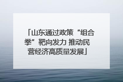 山东通过政策“组合拳”靶向发力 推动民营经济高质量发展