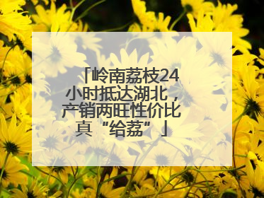 岭南荔枝24小时抵达湖北，产销两旺性价比真“给荔”
