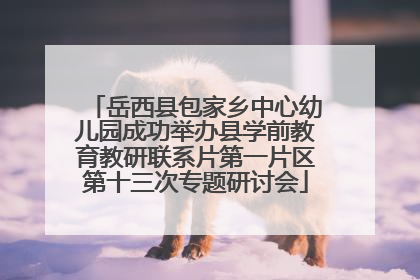 岳西县包家乡中心幼儿园成功举办县学前教育教研联系片第一片区第十三次专题研讨会