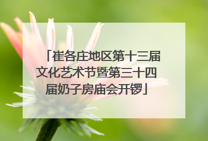 崔各庄地区第十三届文化艺术节暨第三十四届奶子房庙会开锣