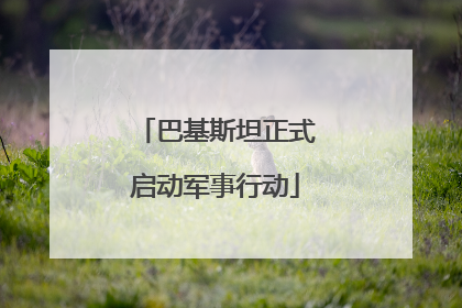 巴基斯坦正式启动军事行动