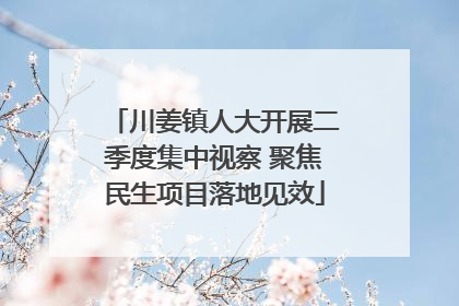 川姜镇人大开展二季度集中视察 聚焦民生项目落地见效