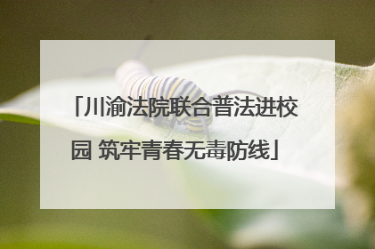 川渝法院联合普法进校园 筑牢青春无毒防线