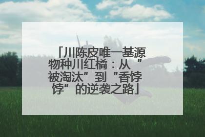 川陈皮唯一基源物种川红橘：从“被淘汰”到“香饽饽”的逆袭之路