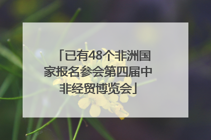 已有48个非洲国家报名参会第四届中非经贸博览会