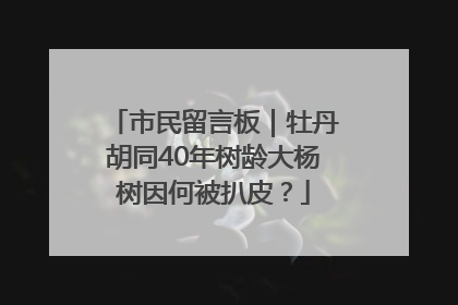 市民留言板｜牡丹胡同40年树龄大杨树因何被扒皮？
